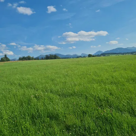 Goscinne Quarto em Acomodações Particulares Dzianisz