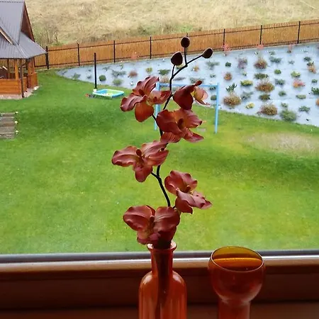 Quarto em Acomodações Particulares Goscinne