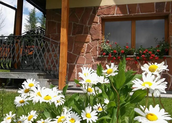 בית אירוח Goscinne *